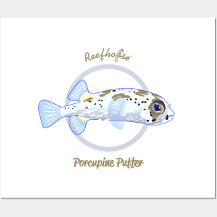 Porcupine Puffer Posters and Art